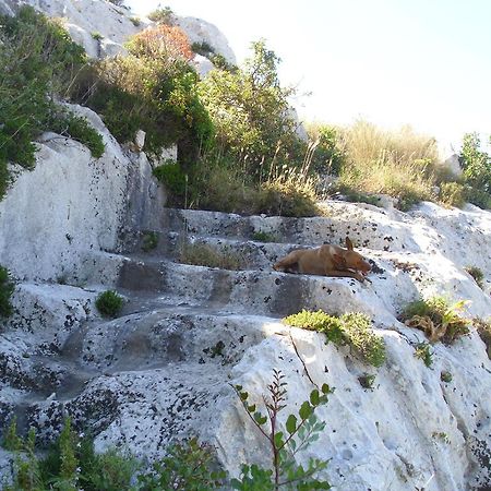 B&B Tari Syracuse Bagian luar foto